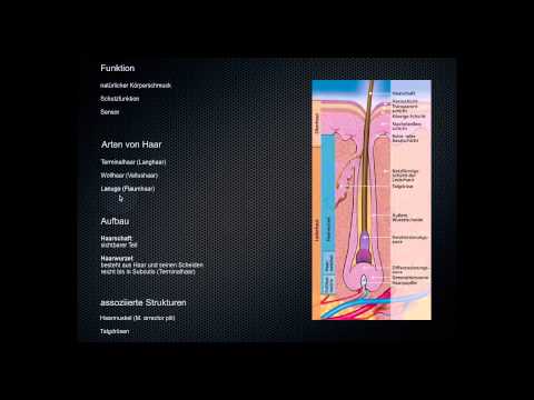 ACE-Hemmer für hypertensive Krise Hypertonischen Lösung Schilddrüse