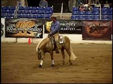 CHEXOLUTION ridden by Todd Sommers