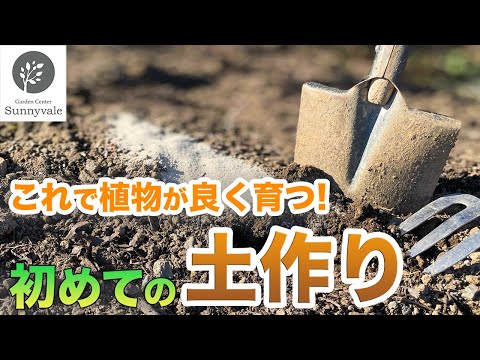 粘土質の土壌に植える果樹はどれですか?いつ、どのように植えるのですか？  庭園