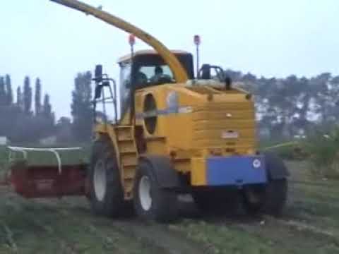 Demarez - Marreel: Mais hakselen.