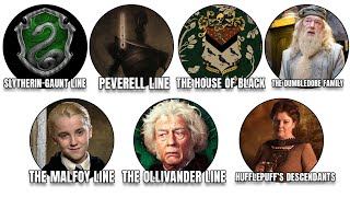 7 Most Powerful MAGICAL Bloodlines in Harry Potter EXPLAINED in Detail!