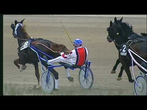 Napoli Trotto 25/11/2022 - 5ª corsa