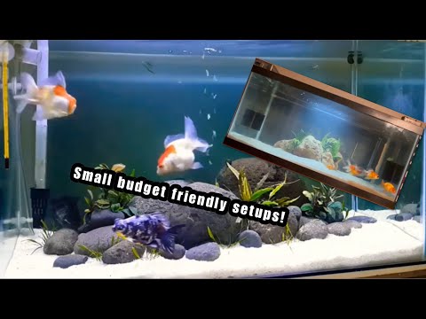 Rate my tank- Budget friendly goldfish aquariums!