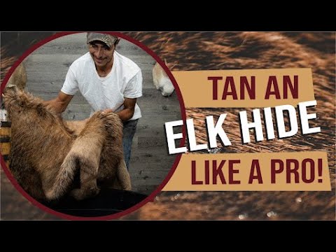 How To Tan an Elk - DIY Hide Fleshing and Tanning