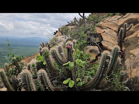 Pedra do Tendó na Serra do Teixeira PB em 27-02-26 
