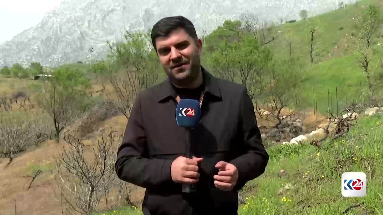 ڤیدیۆ | بەهۆی بەخوڕی باران بارین زیان بە بەرهەمی جووتیارانی ئامێدی گەیشتووە