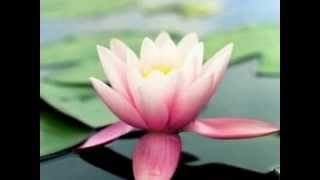 Fleetwood Mac - Remember Me