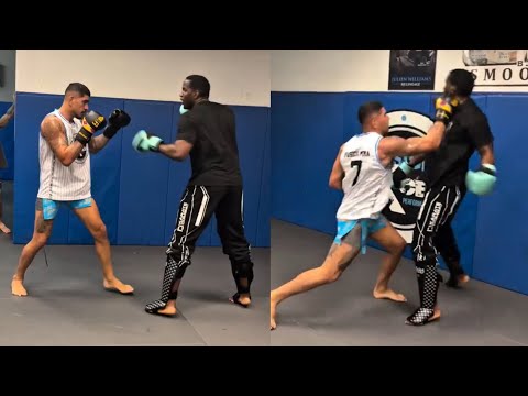 Alex Pereira Landing HEAVY Shots vs 6’7” Heavyweight Robelis Despaigne