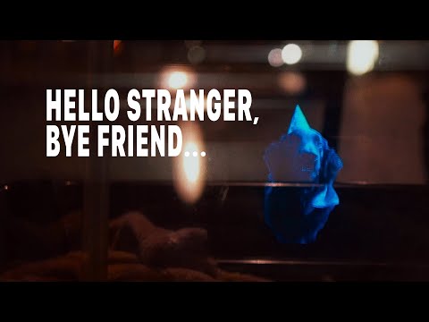 Hello Stranger, Bye Friend Cover