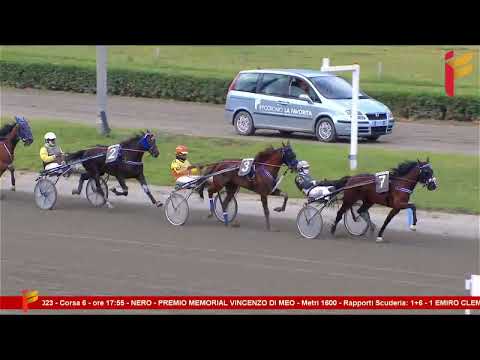 VI Corsa del 31 maggio 2023  - Memorial Vincenzo Di Meo -  3 anni  - Metri 1600
