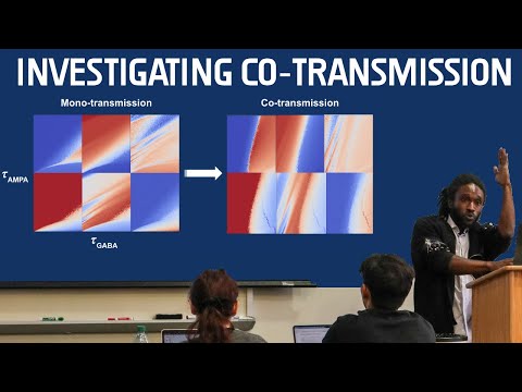 Functional Implications of Co-Transmission - A Dissertation Proposal by Ty Roachford