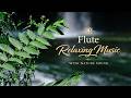 Flute Relaxing Music With Nature Sound Deep Sleep Peace Meditation Stress Relief