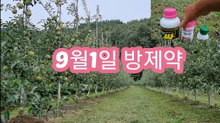 2023년9월1일 사과나무 방제약