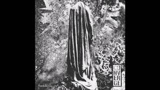 CONVERGE - Wildlife
