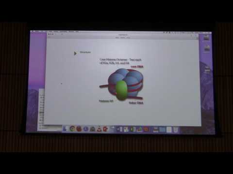 Kevin Ahern's BB 451 at Oregon State - Overview 4