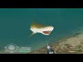 Shark Games Week 100 Ing Shark Hunting The Great White