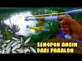 How To Make A Fish And Lizard Passer From A Paralon Pipe