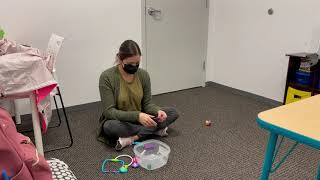 Frequency Data Collection Practice