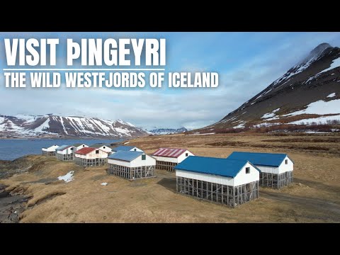 Visit Þingeyri - Full Village Tour in the Wild West Fjords of Iceland