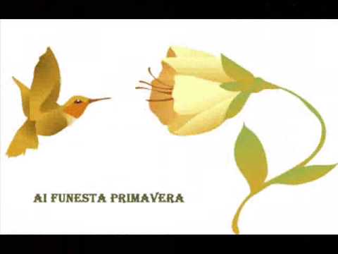 Manuela Cavaco - Primavera