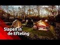 Je tentje opzetten in het Sprookjesbos: eenmalig mogen gelukkigen kamperen midden in de Efteling