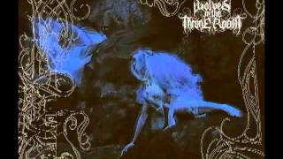 Wolves in the throne room - Black Cascade (full album)