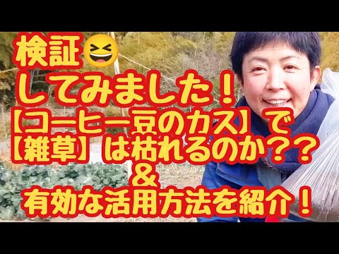 庭のコーヒーかすを使用する 7 つの方法: ヒントとコツ!  庭園