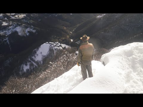 #195 Every Day, Snow