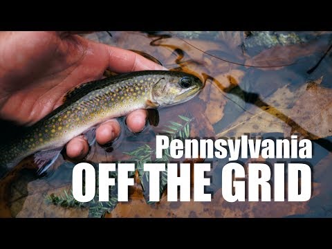 Fly fishing the troutbitten mono rig - stealth tactics for brook trout