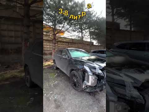 Hyundai Palisade 2024