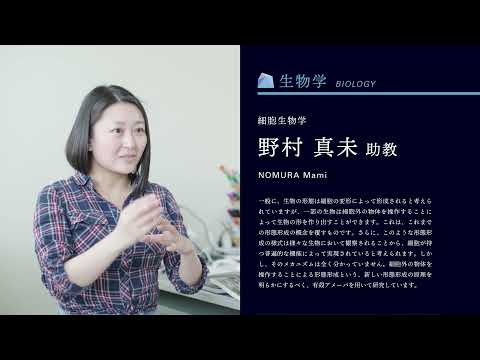 【山形大学】理学部教員紹介動画（野村真未）（細胞生物学）