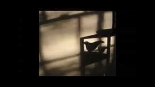 What are the limits of the body?