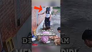 Download lagu Anjing Ini Tak Sadar Pemiliknya Ada di Belakang! mp3