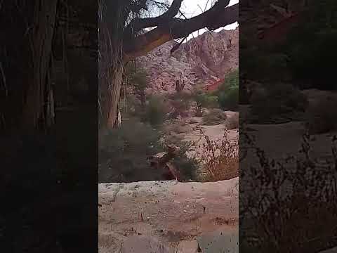 Vive y siente a Salta .Cachi Argentina #ytshorts #viajando #travel