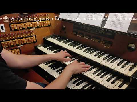 JKS 337 - K Márii voláme (Dóm sv. Alžbety)