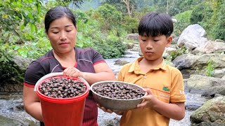 A 35-year-old single mother and her son catch stream snails to sell for a living - natural snails