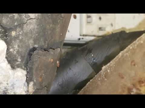 Mold Covered Beer Lines Cause Fruit Flies in Colts Neck, NJ