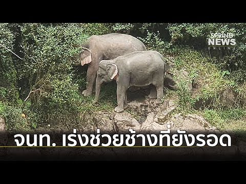 คลิกเพื่อดูคลิปวิดีโอ