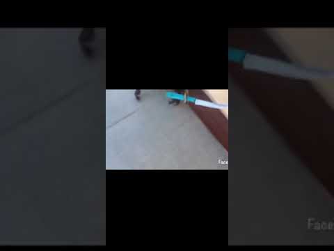 Jigzaw Macheten Video