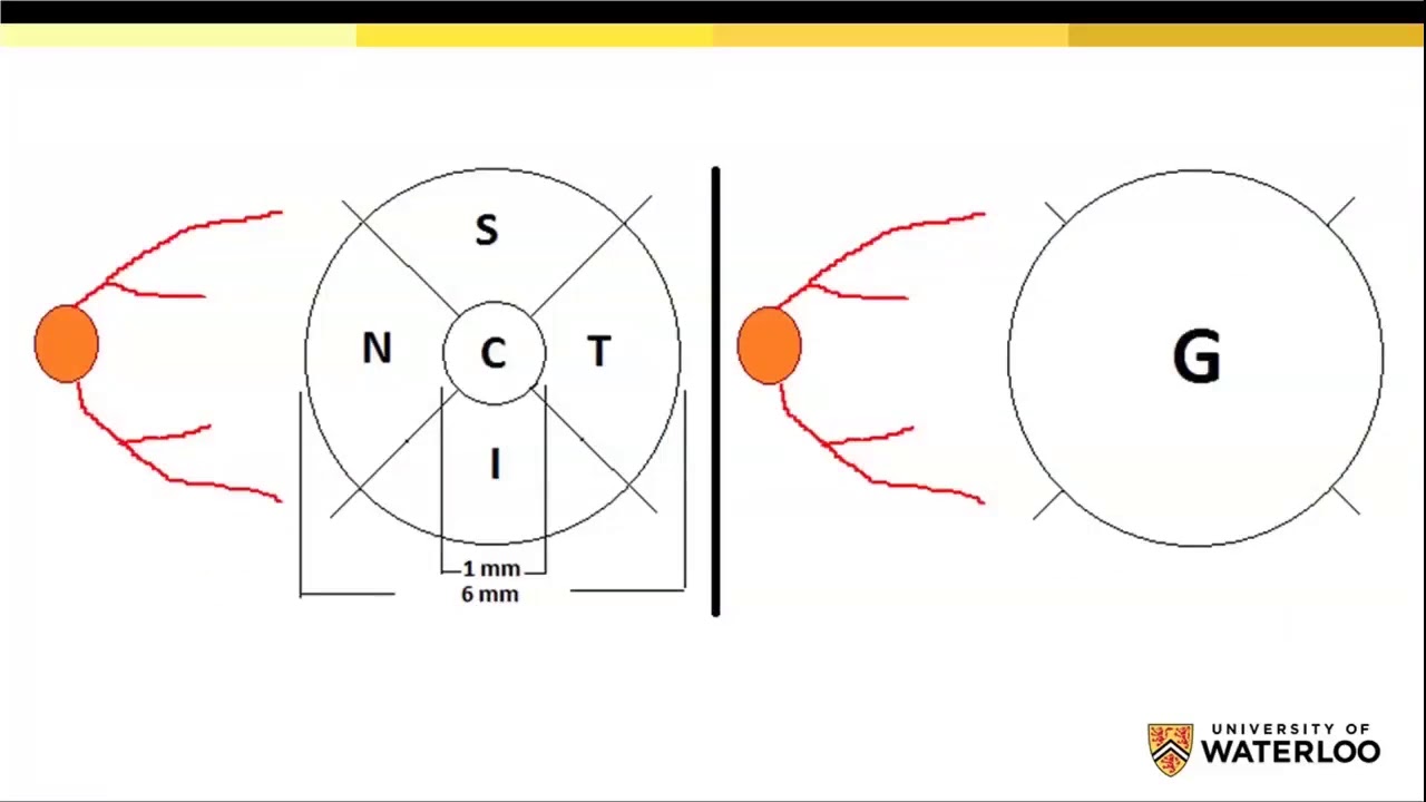 Webinar | The retina: a reflection of the body and soul?