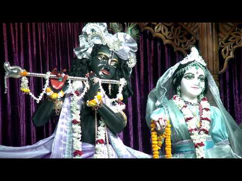 Mangal Aarti 12/11/17 by HH Kadamba Kanana Swami Maharaj