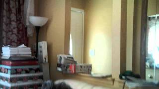 ASSEMBLY WOMAN VIVIAN E. COOK & CONGRESSMAN GREG W. MEEKS connection part 1.AVI