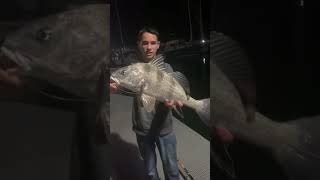Caught over 100 fish in a couple hours.         #fishing #fish #nlbn #blackdrum #drumfish #redfish