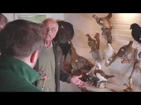 Parey Jagdausbildung - Prüfungssimulation Teil 11 - Raubwild