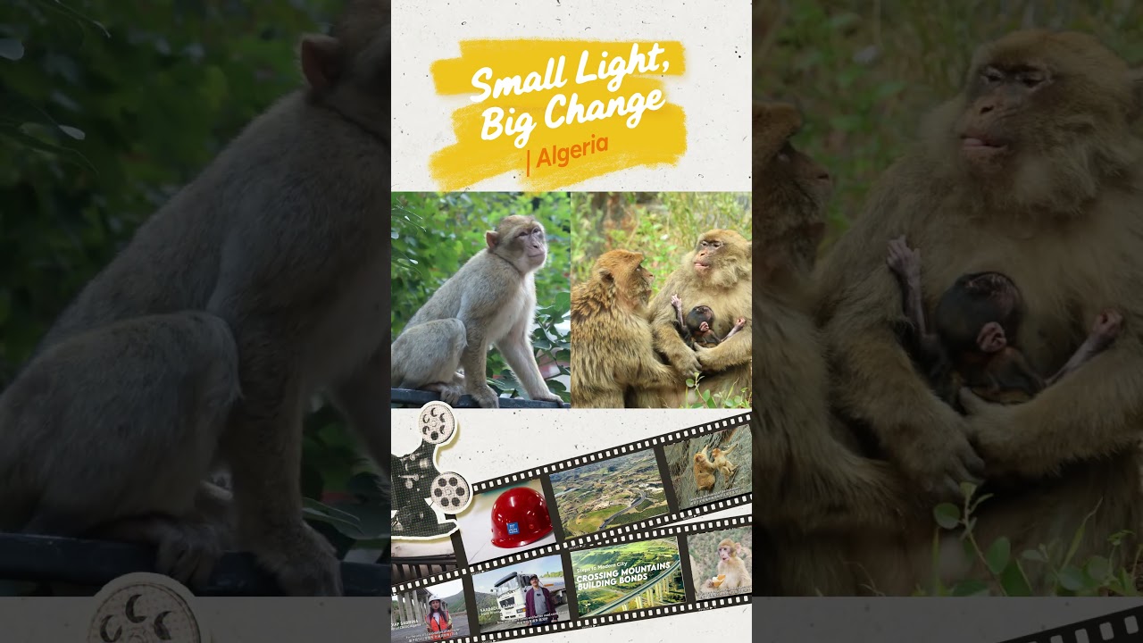 CSCEC: Gathering Sparks to Ignite a Flame