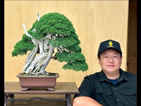 GSBF Golden Zoom Presents Peter Tea discussing Juniper Bonsai Structure and Pad Development.