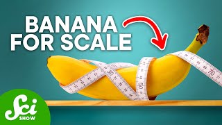 6 Weird Units of Measurement We're Still Using for Some Reason