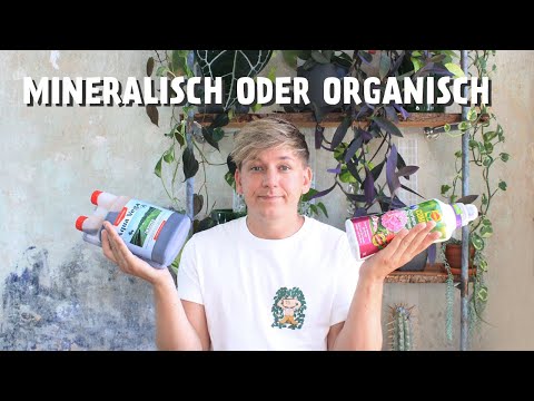 A comparison: Organic and mineral fertilizers! Which fertilizer is right for you? 🤔
