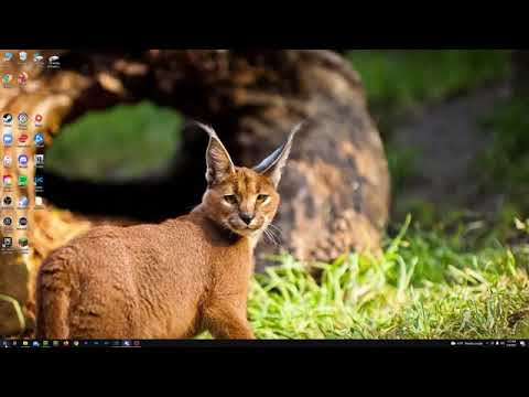 Scar being killed by intentional game design