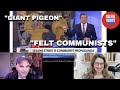 Big Bird Big D Cks Newsmax Anchor